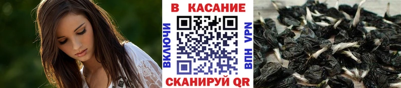 Купить Дагестанские Огни ГАШИШ  КОКАИН  Меф мяу мяу 