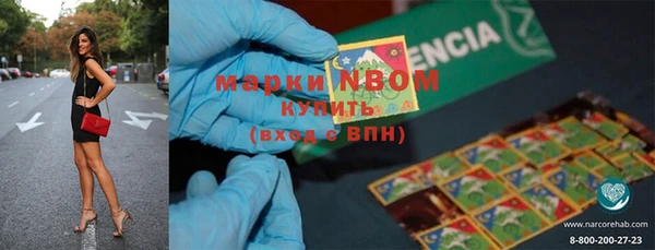 ECSTASY Богородск