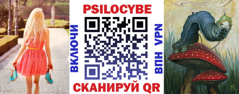 Галлюциногенные грибы Cubensis как найти Дагестанские Огни