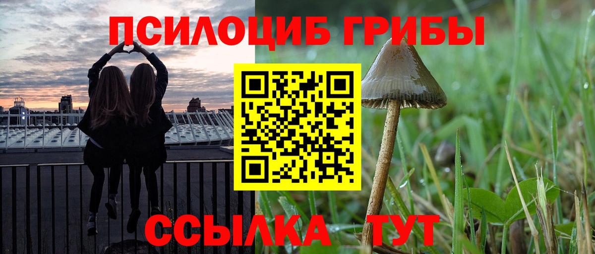 Дагестанские Огни  Псилоцибиновые грибы MAGIC MUSHROOMS  Вход с VPN 