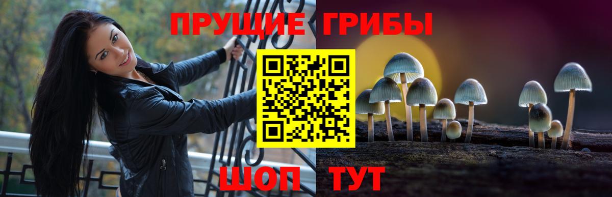 Галлюциногенные грибы мицелий Дагестанские Огни